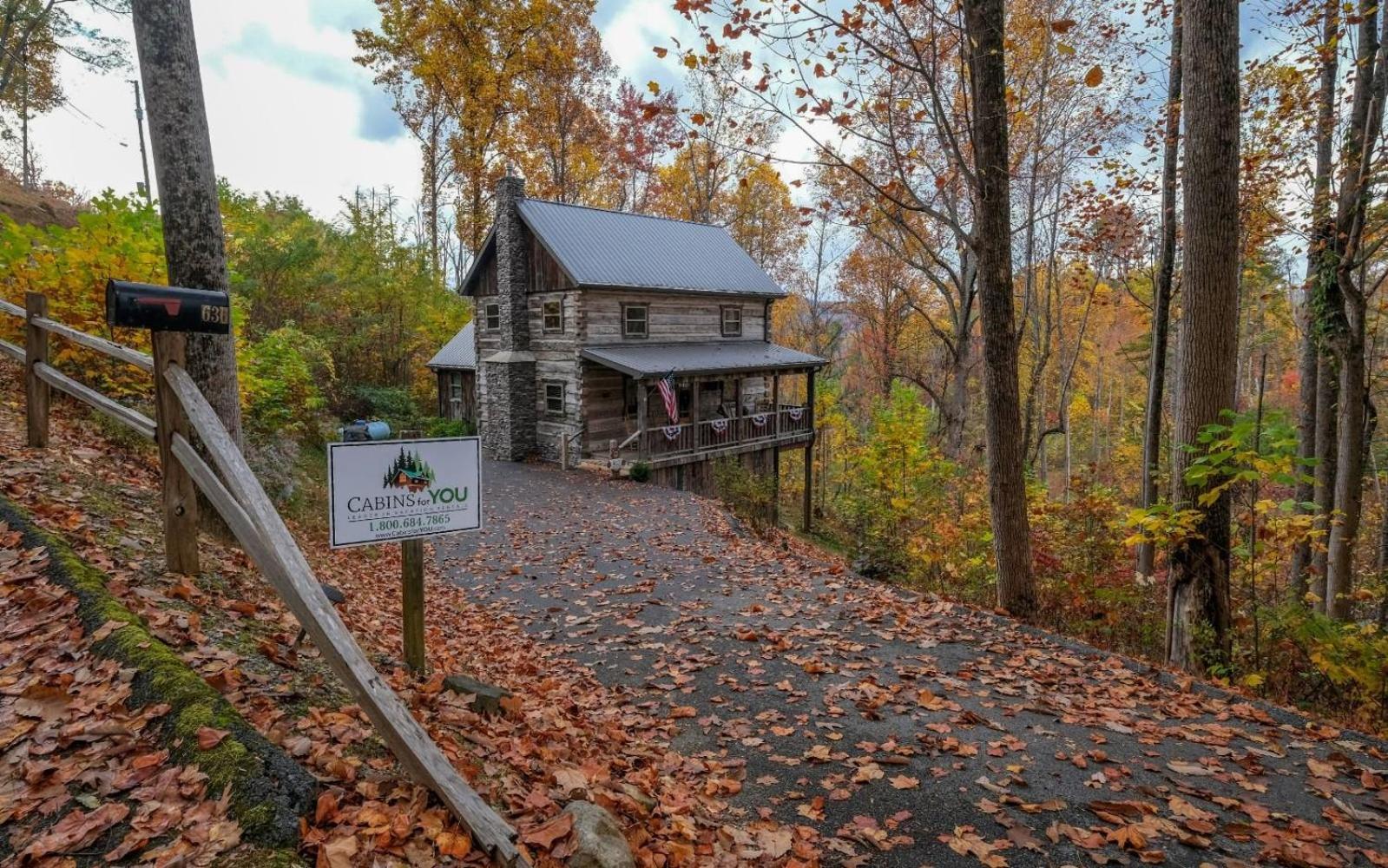 Barnwood Ridge Villa Гетлинбург Екстериор снимка